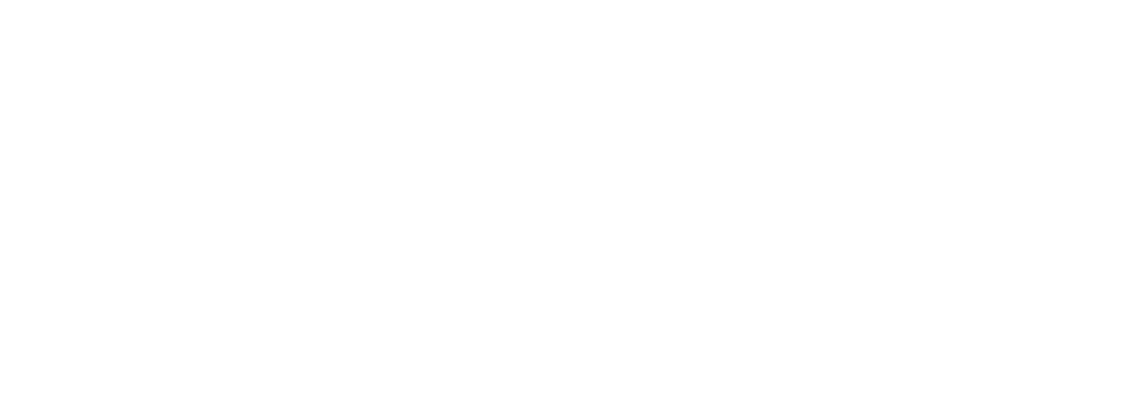 Practical Minds Logo