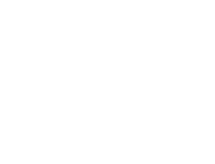 H.O.L Group