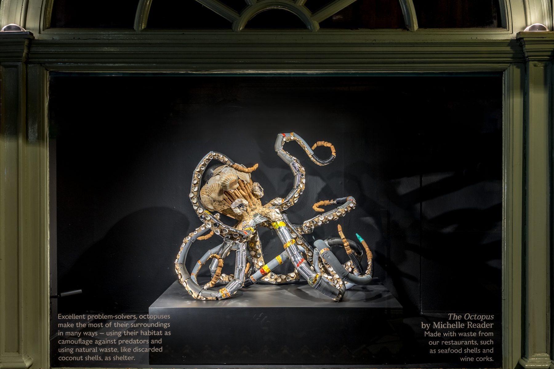 Resourceful Nature, Fortnum & Mason (3 of 6)